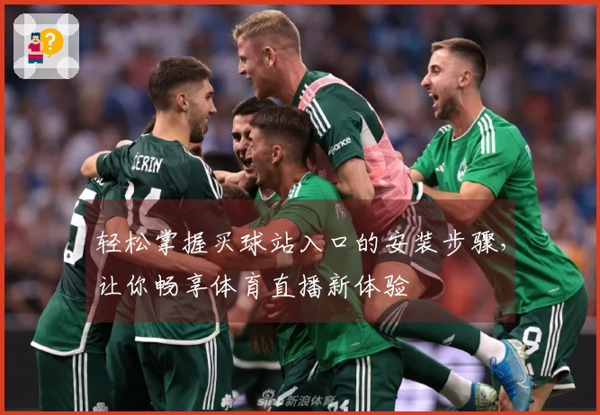轻松掌握买球站入口的安装步骤，让你畅享体育直播新体验