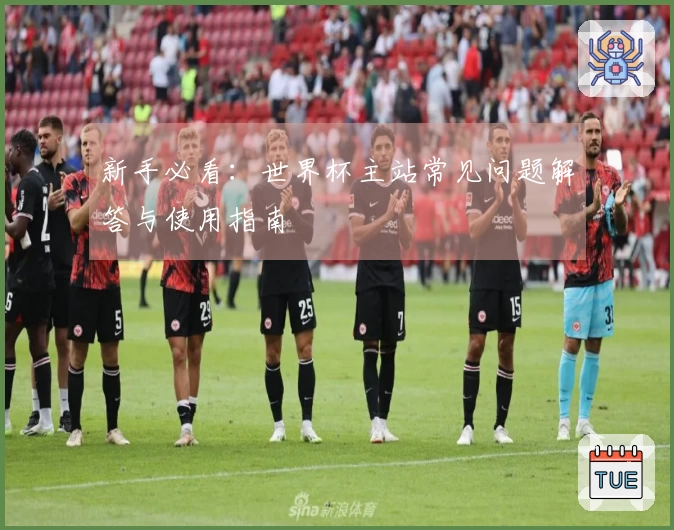 新手必看：世界杯主站常见问题解答与使用指南
