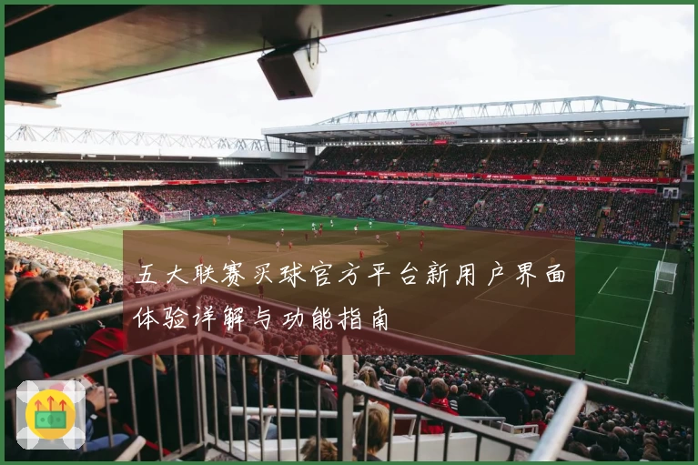 五大联赛买球官方平台新用户界面体验详解与功能指南