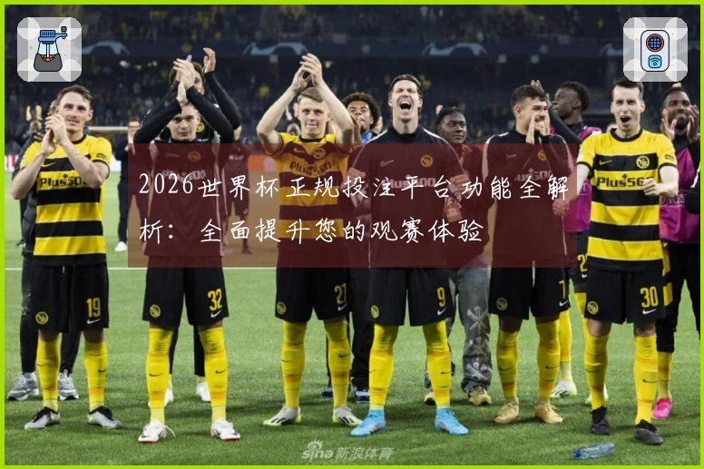 2026世界杯正规投注平台功能全解析：全面提升您的观赛体验